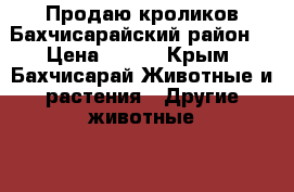 Продаю кроликов Бахчисарайский район. › Цена ­ 500 - Крым, Бахчисарай Животные и растения » Другие животные   